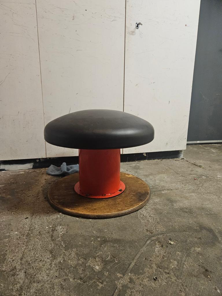 Turn paddenstoel voltige, Kindermaat 146 t/m 176, Ophalen, Gebruikt, Materiaal