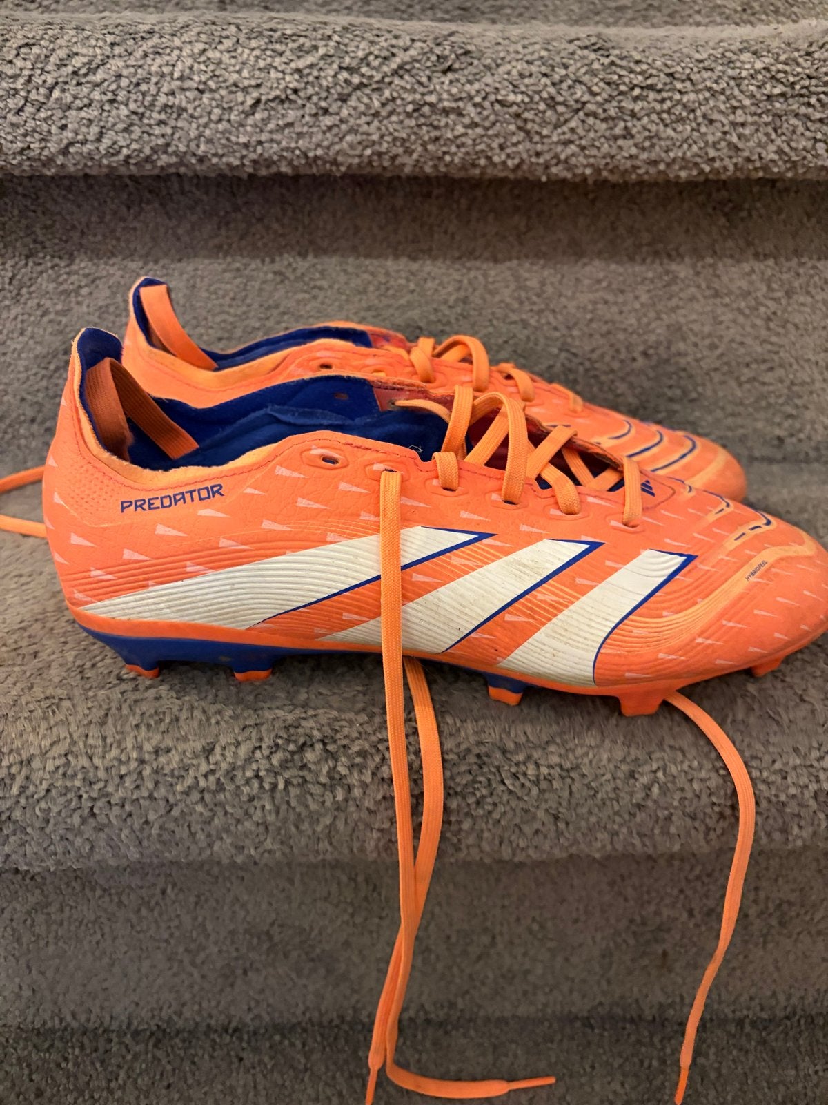 Adidas Predator voetbalschoenen - Oranje/Blauw, Ophalen of Verzenden, Gebruikt, Schoenen