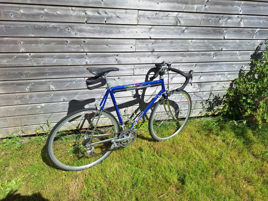 Pinarello Isolo vintage racefiets., Ophalen, Gebruikt, Hondenkar