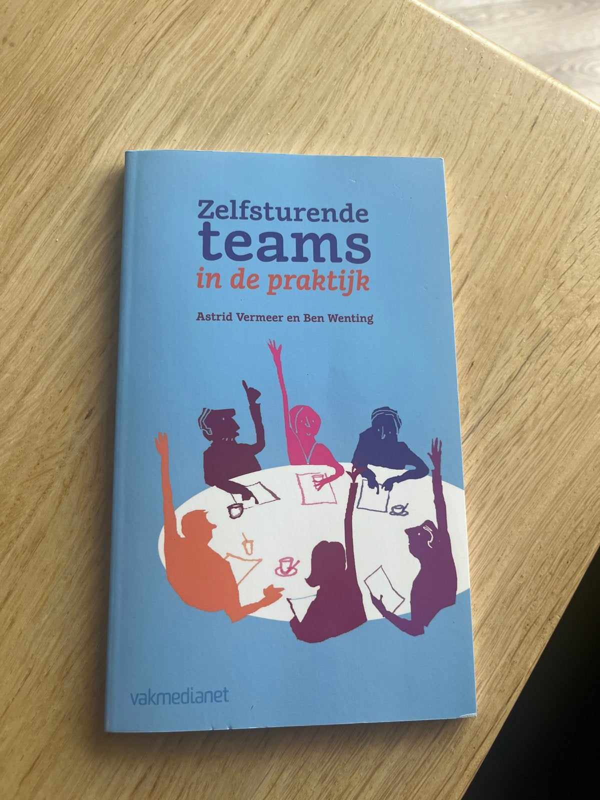 Zelfsturende teams in de praktijk - Astrid Vermeer, Boeken, Ophalen of Verzenden, Gamma, Zo goed als nieuw, HBO