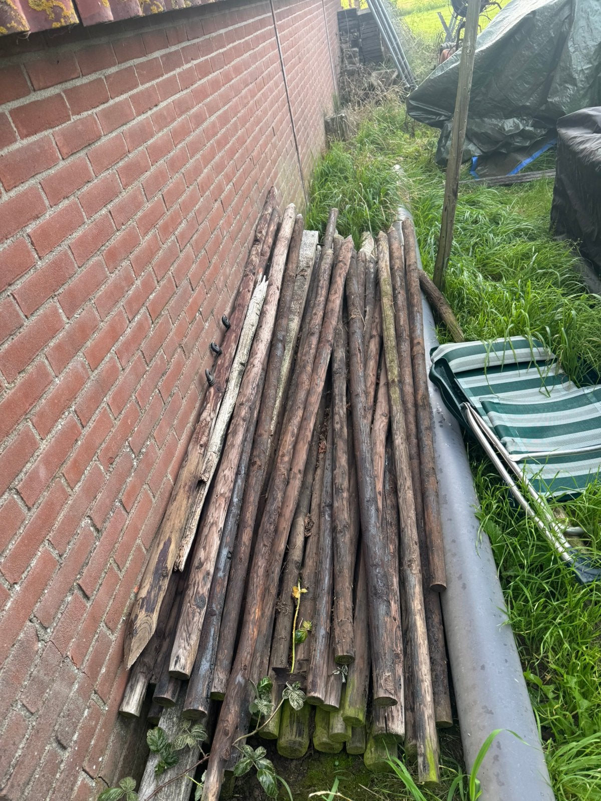 Palen 250, Ophalen, Zo goed als nieuw, 250 cm of meer, Palen