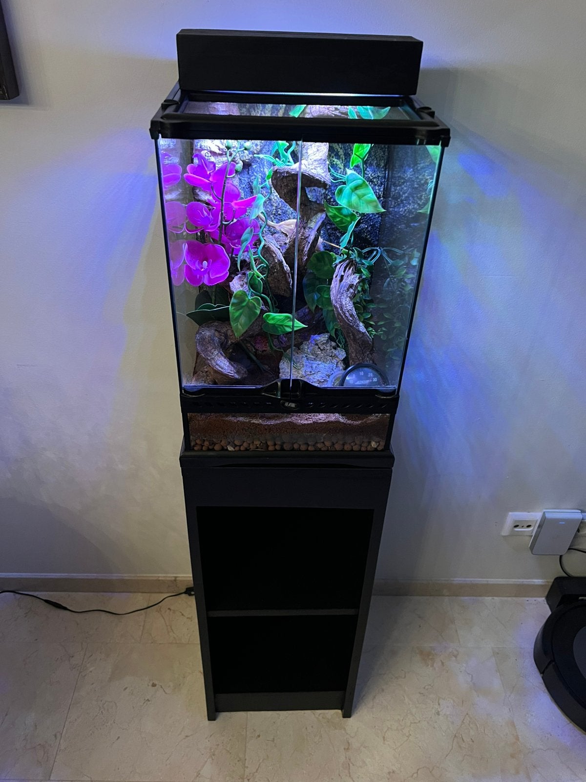 Exo Terrarium met wimpergekko, Ophalen, Zo goed als nieuw, Terrarium of Paludarium