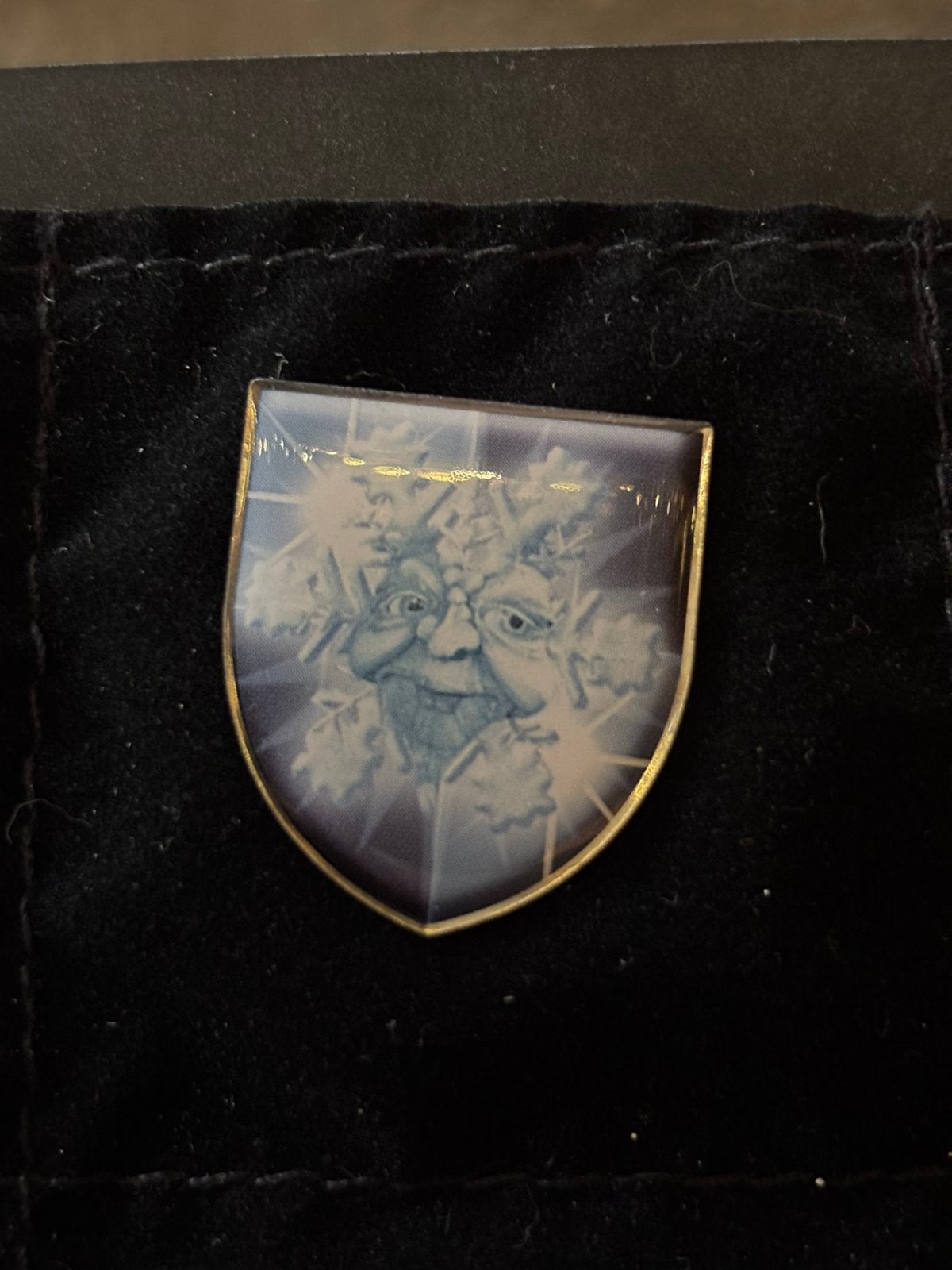 Efteling winter pin trol, Ophalen of Verzenden