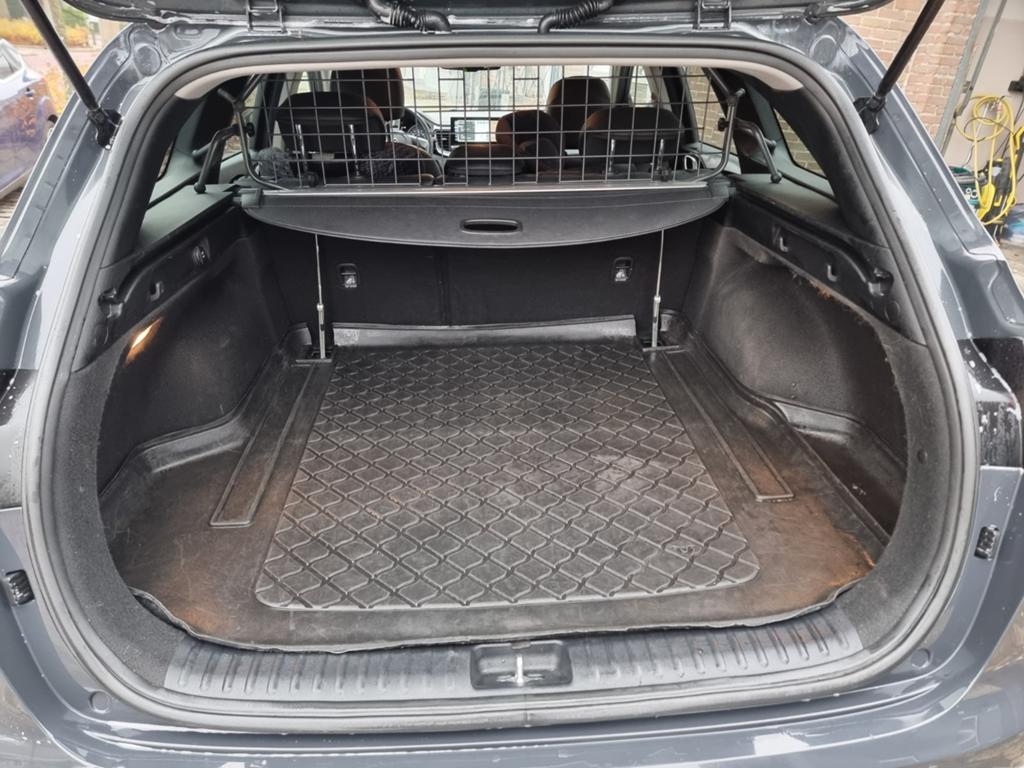 Travall hondenrek, bagagerek, scheidingwand Kia Ceed, Ophalen