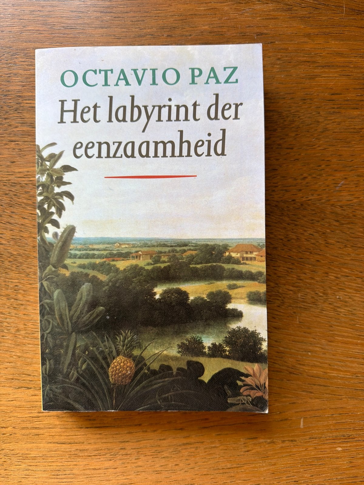 Het labyrint der eenzaamheid - Octavio Paz, Ophalen of Verzenden, Gelezen