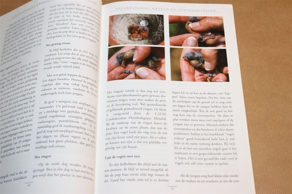 Kleurkanaries Kweken & Tentoonstellen — Zeer uitgebreid boek, Ophalen of Verzenden, Zo goed als nieuw, Honden