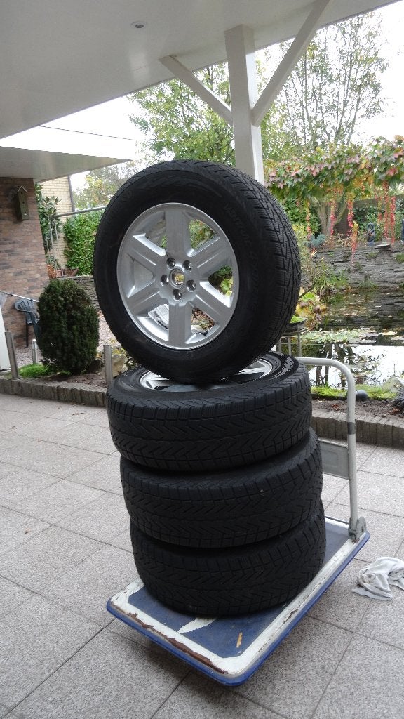 Velgenboom met winterbanden, Ophalen of Verzenden, Gebruikt