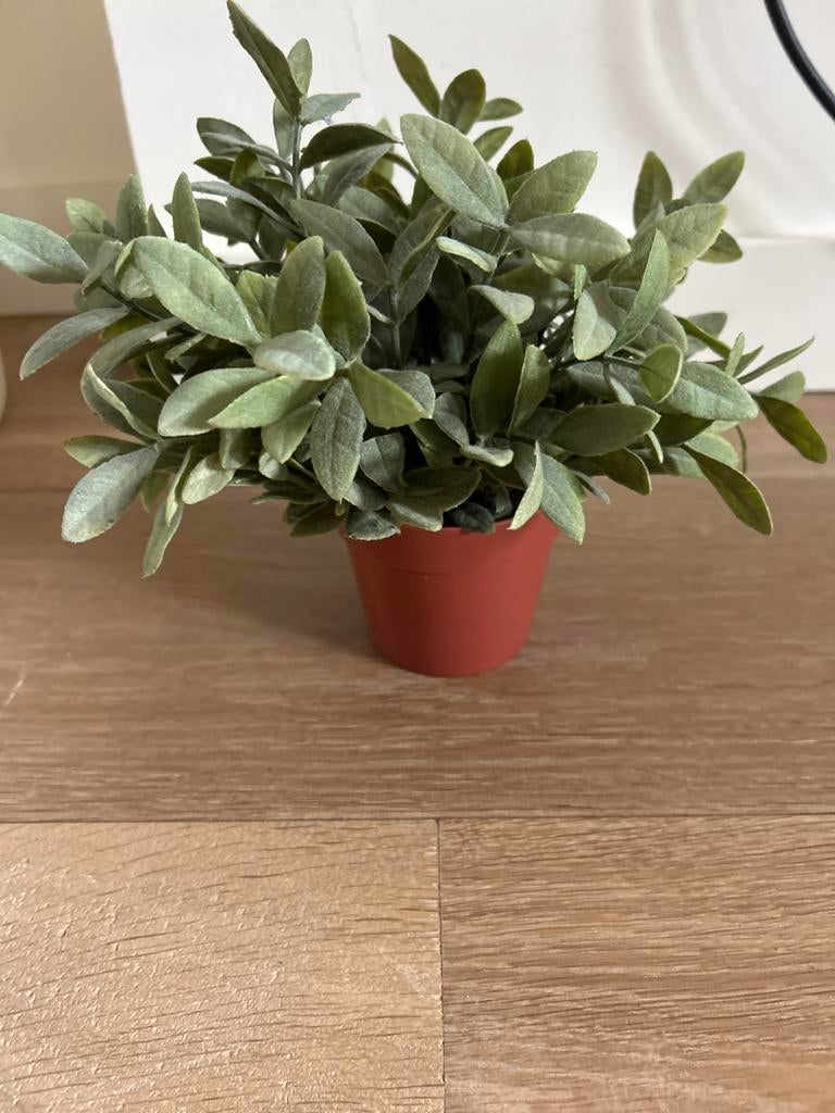 IKEA Kunstplant / nepplant / plantje, Ophalen, Binnen, Groen, Kunstplant