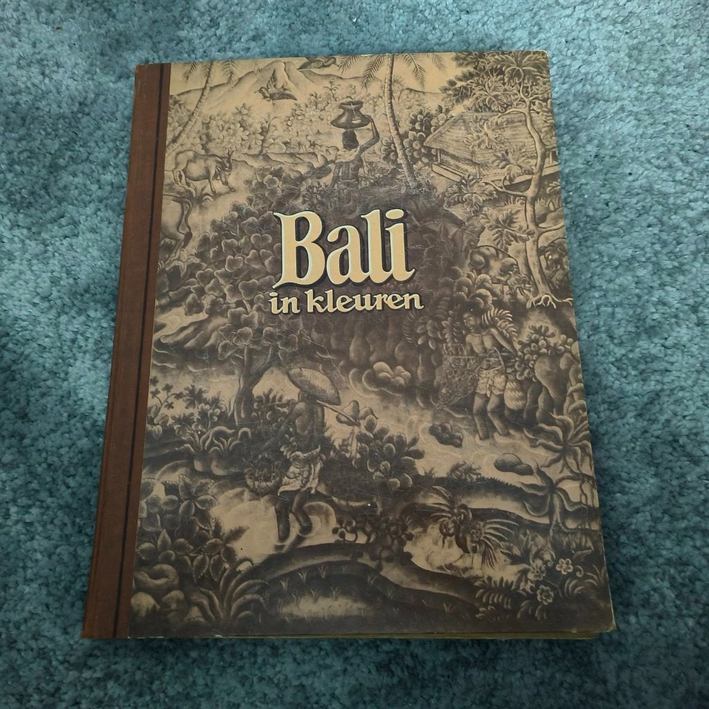 Bali in kleuren plaatjesboek(Douwe Egberts), Boeken, Ophalen of Verzenden, Zo goed als nieuw, Piet Bakker, Plaatjesalbum