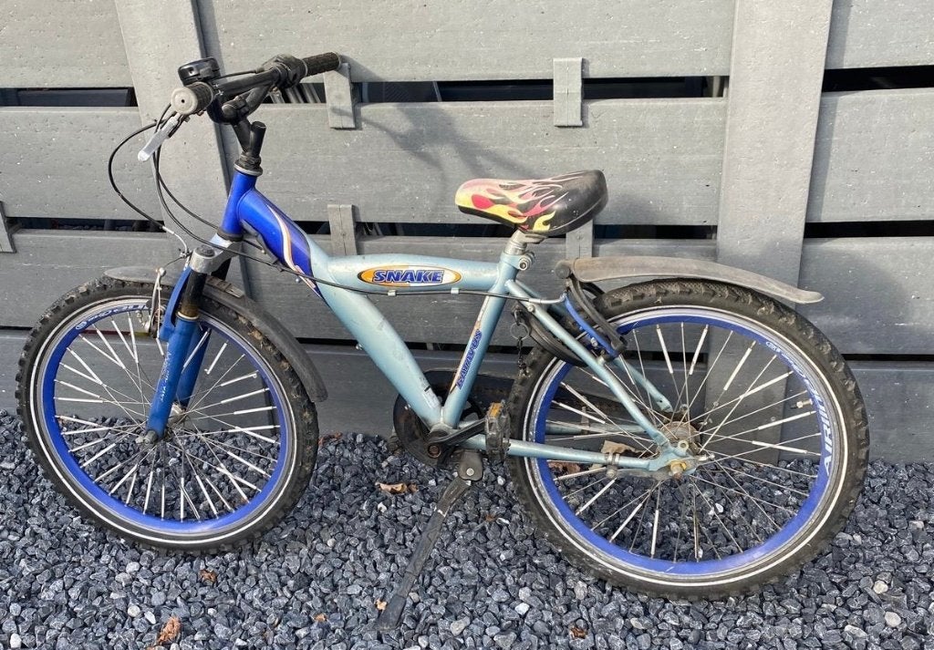 Batavus Snake 22 inch, Ophalen, Terugtraprem, 22 inch, Gebruikt