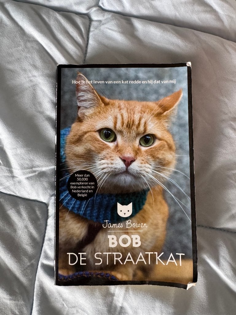 Bob de straatkat – James Bowen, Ophalen of Verzenden, Gelezen, James Bowen, Nederland