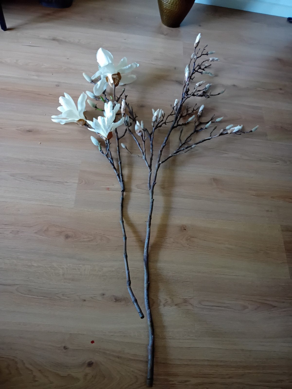 2 heel mooi groot magnolia takken, Huis en Inrichting, Ophalen of Verzenden, Zo goed als nieuw