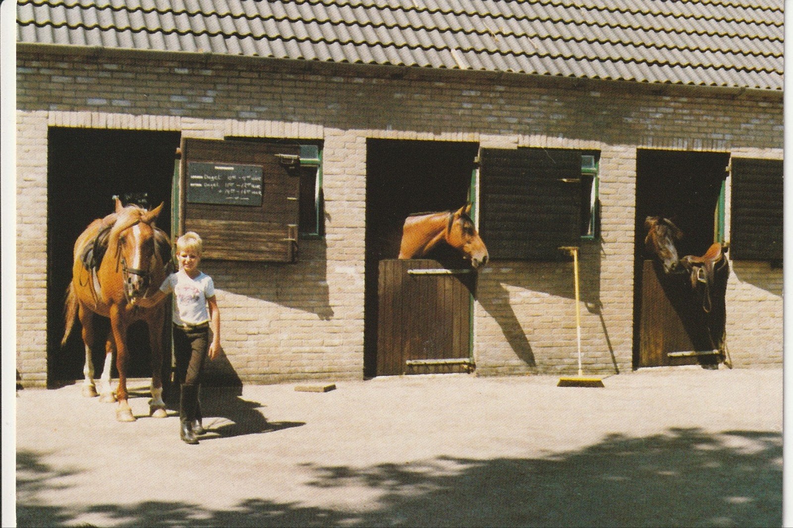 GROETEN UIT ZORGVLIET STALLEN MANEGE PAARDEN, Ophalen of Verzenden, 1980 tot heden, Ongelopen, Drenthe