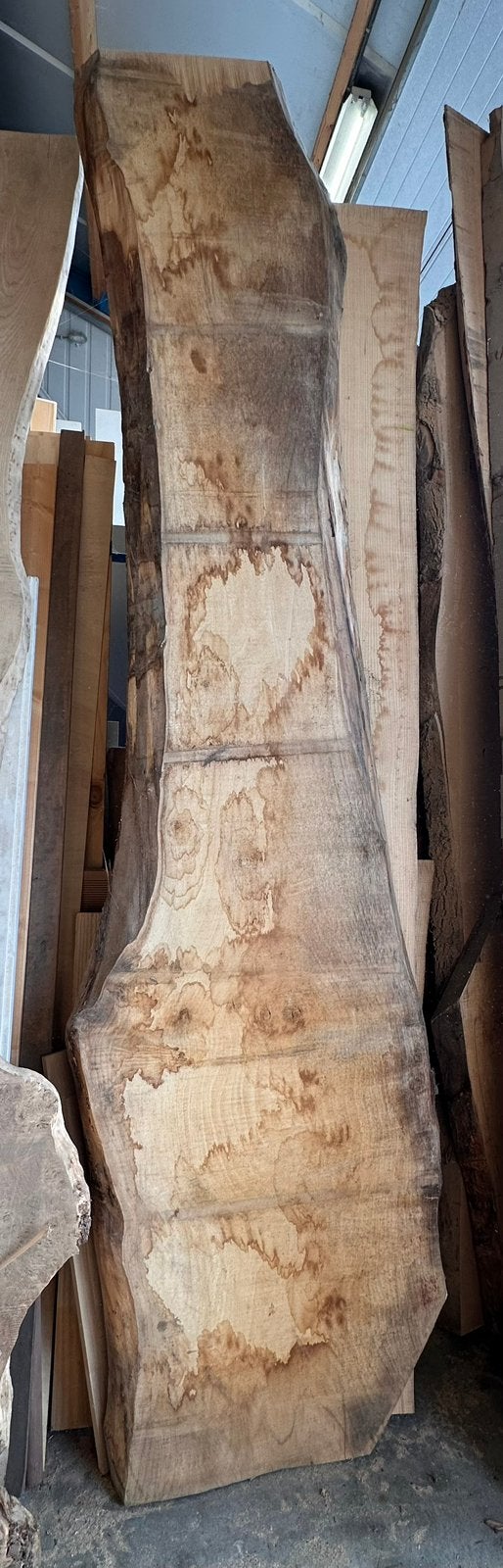 Schaaldeel Boomstam 330 x 80/60cm, Ophalen of Verzenden, Zo goed als nieuw, 250 cm of meer, Palen