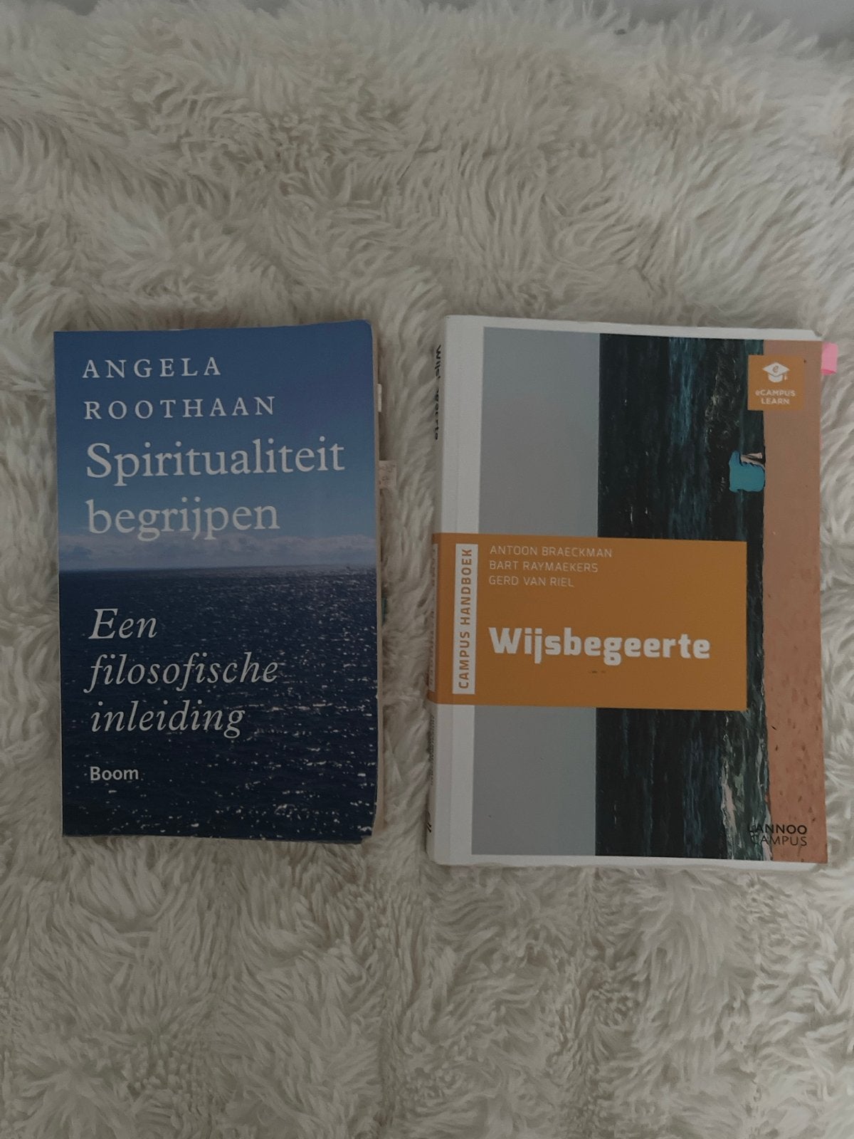 Spiritualiteit begrijpen & Wijsbegeerte (minor FWS), Ophalen of Verzenden, Alpha, Zo goed als nieuw, HBO