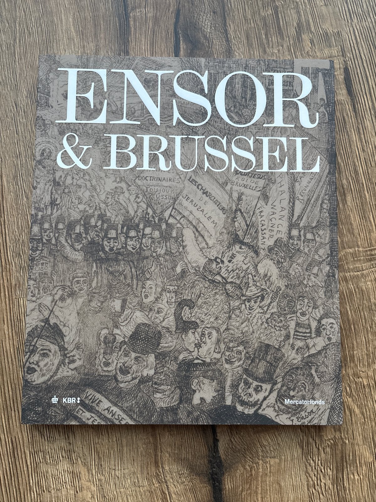Ensor & Brussel - Kunstboek over James Ensor, Boeken, Ophalen of Verzenden, Zo goed als nieuw