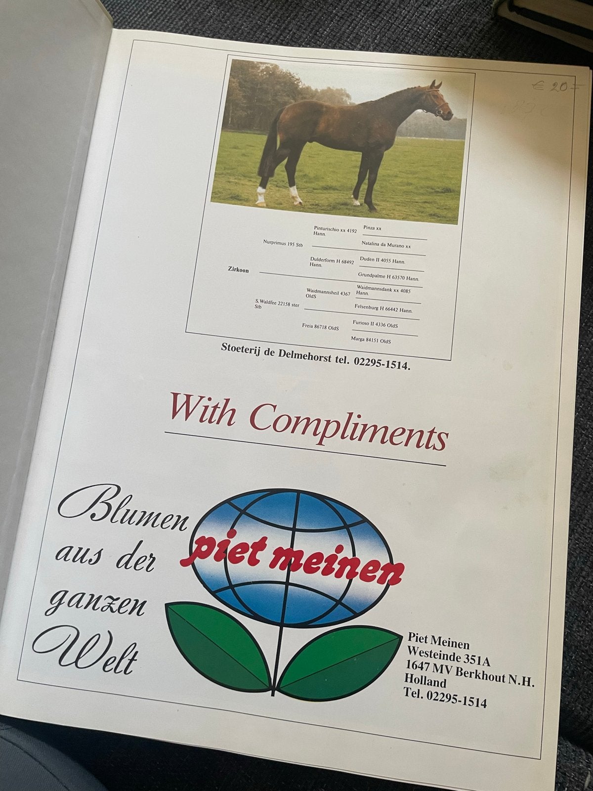 L'Année Hippique 1985/1986 - Internationaal Paardensport Jaa, Boeken, Ophalen of Verzenden, Gelezen, Overige sporten