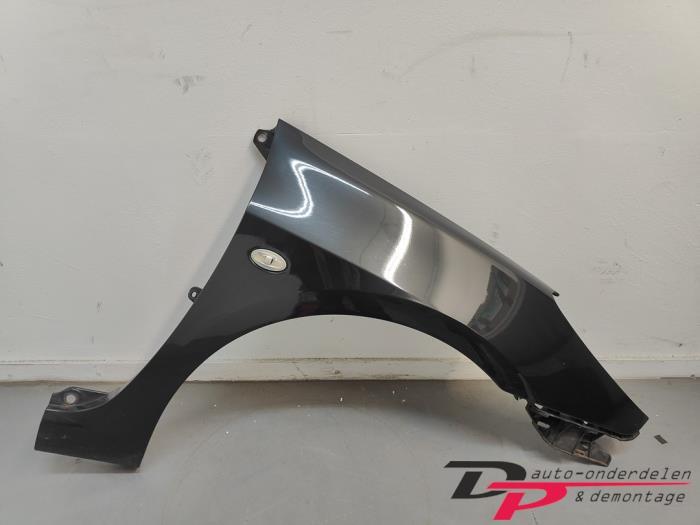 Scherm rechts-voor van een Peugeot 307 (EXLD)