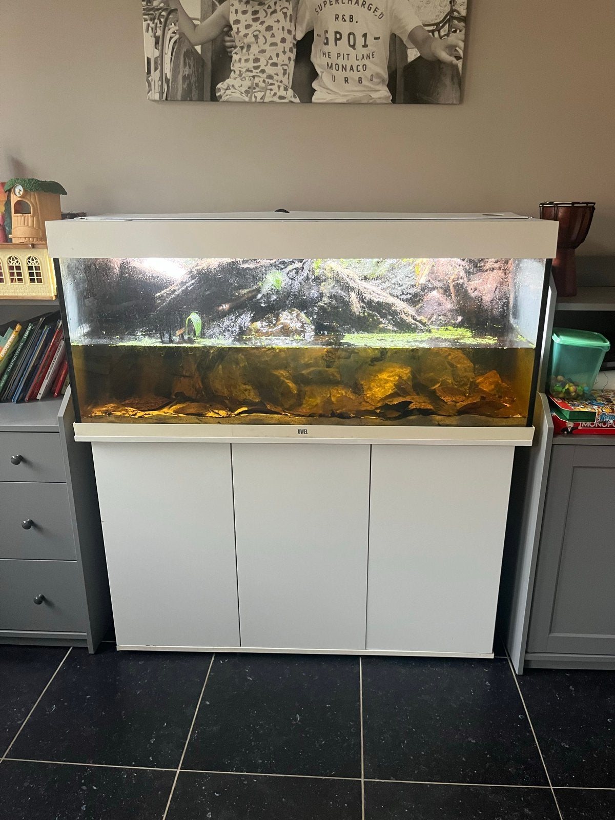 Aquarium/paludarium, Ophalen