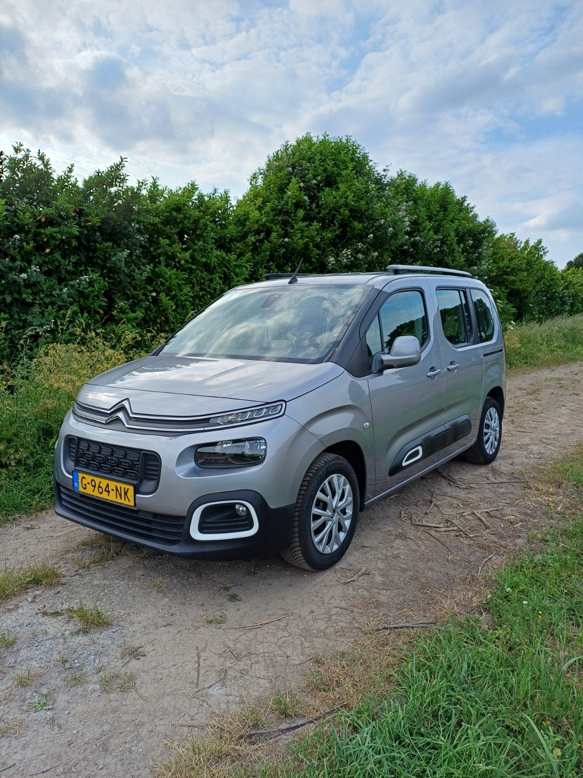 Citroën Berlingo 1.2 Puretech 110pk S&S 2019 Grijs, Voorwielaandrijving, 1199 cc, Berlingo, Handgeschakeld