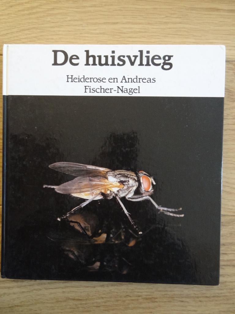 De Huisvlieg – Heiderose & Andreas, Ophalen of Verzenden, Gelezen, Overige diersoorten