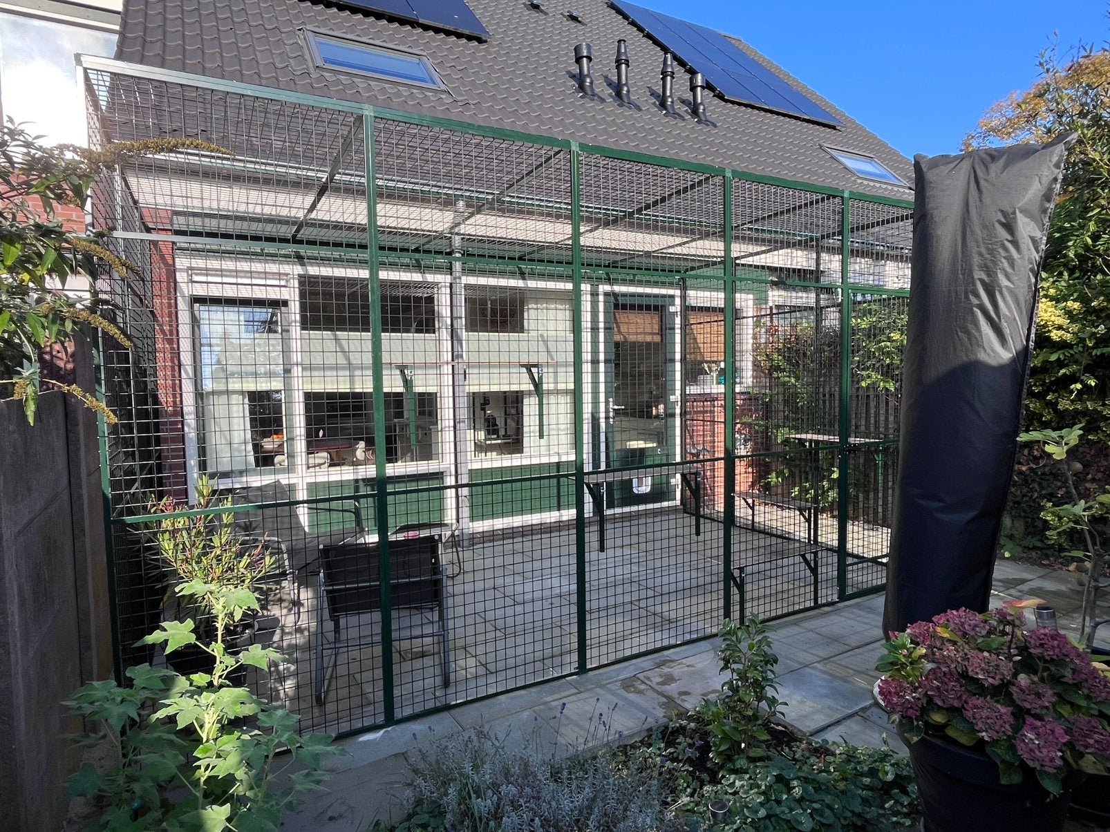 Kattenren op maat gemaakt!, 4221LV, Info@vandoorntimmerwerken.com, Nieuw, Ophalen of Verzenden