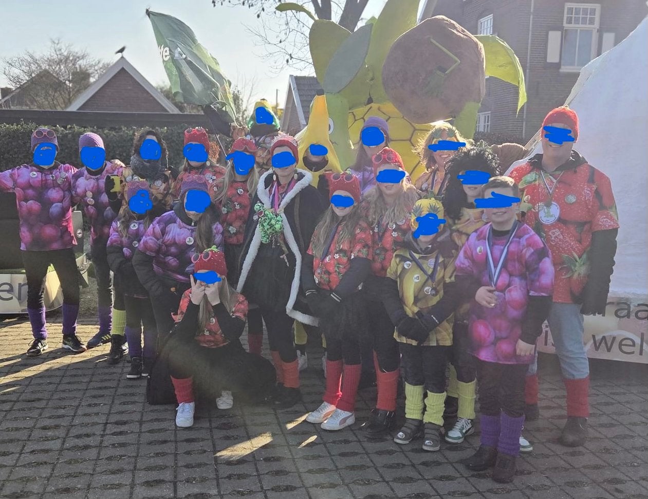 Carnavalskleding fruit thema - Diverse maten, Kleding | Heren, Ophalen of Verzenden, Gedragen, Overige maten
