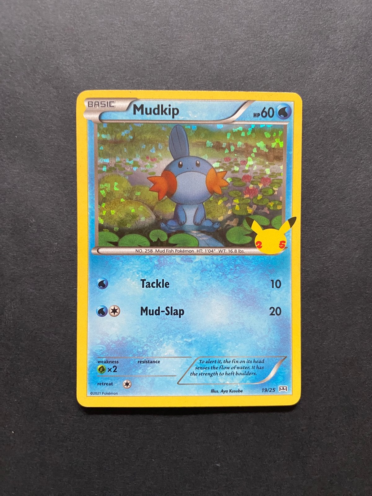 Mudkip 19/25, Ophalen of Verzenden, Nieuw