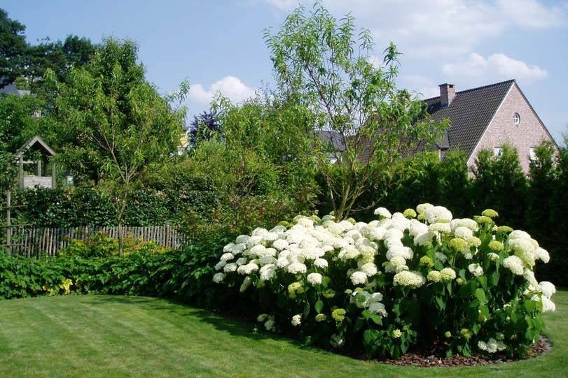 Hovenier - Tuinaanleg, Onderhoud & Boomverzorging, Ophalen, Nieuw, Beton, Klinkers