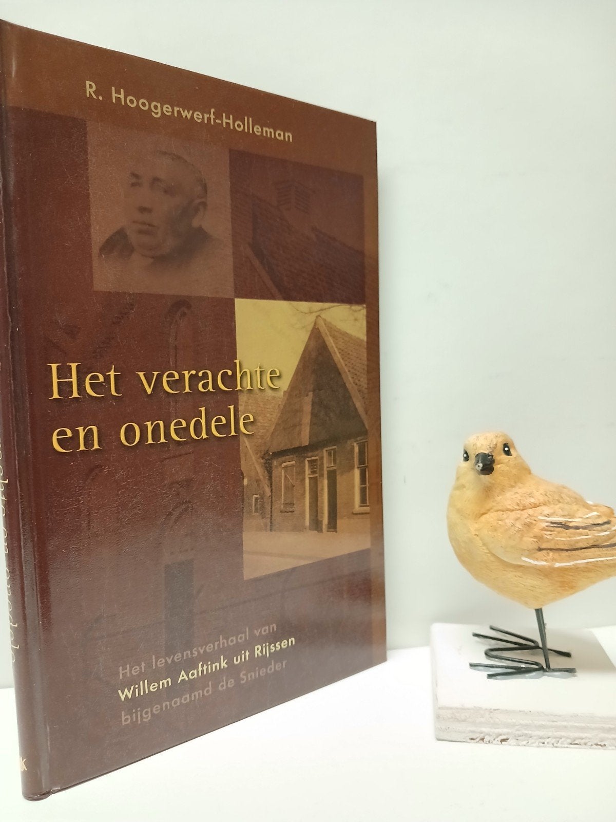 Hoogerwerf- Holleman, R.; Het verachte en onedele : Rijssen, Ophalen of Verzenden, Gelezen, Christendom | Protestants
