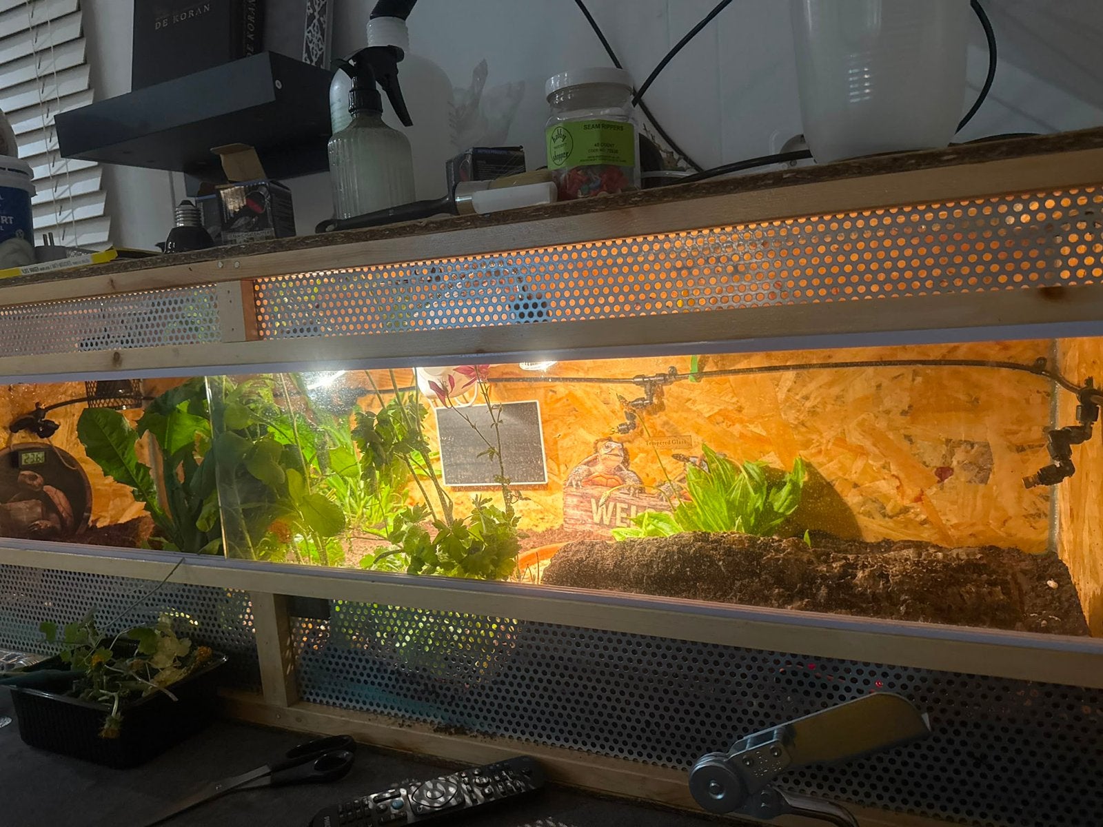 Schildpaddenverblijf, Dieren en Toebehoren, Ophalen, Terrarium of Paludarium