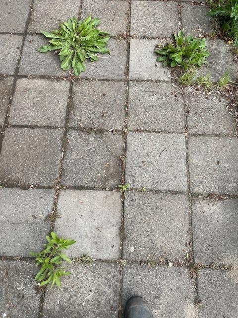 GRATIS: 450 Stoeptegels, Tuin en Terras, Ophalen, Gebruikt, 10 m² of meer, Beton
