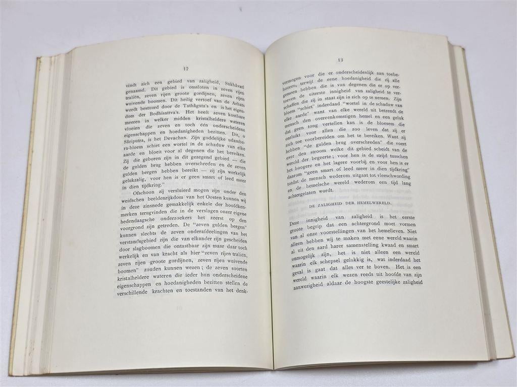 Leadbeater Astraal- & Verstandsgebied — Theosofie, Boeken, Ophalen of Verzenden, Gelezen, Overige onderwerpen, Achtergrond en Informatie