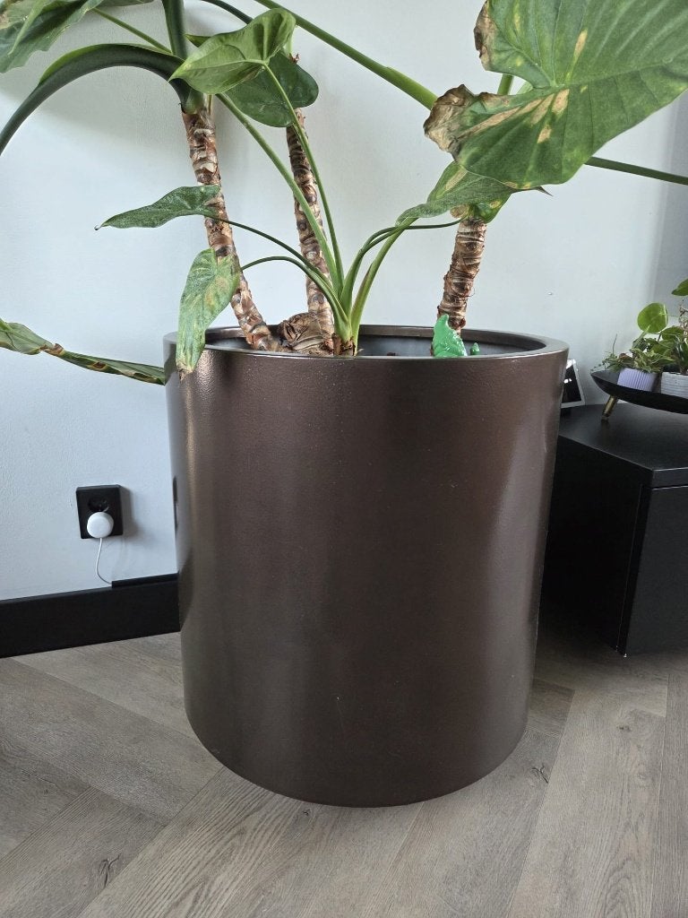 Verrijdbare bloempot, koperkleurig, rond 60x60 cm, Tuin en Terras, Ophalen, Gebruikt, Minder dan 60 cm, Rond