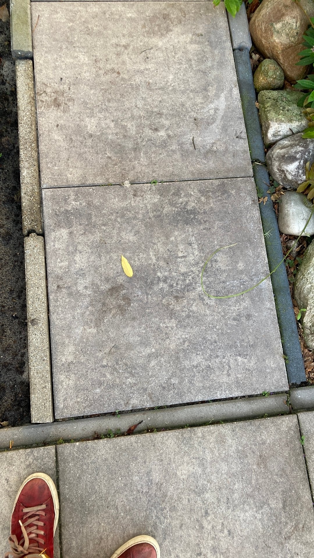 Gezocht grijze terrastegel 60x60, Tuin en Terras, Ophalen, Zo goed als nieuw, Beton, Terrastegels