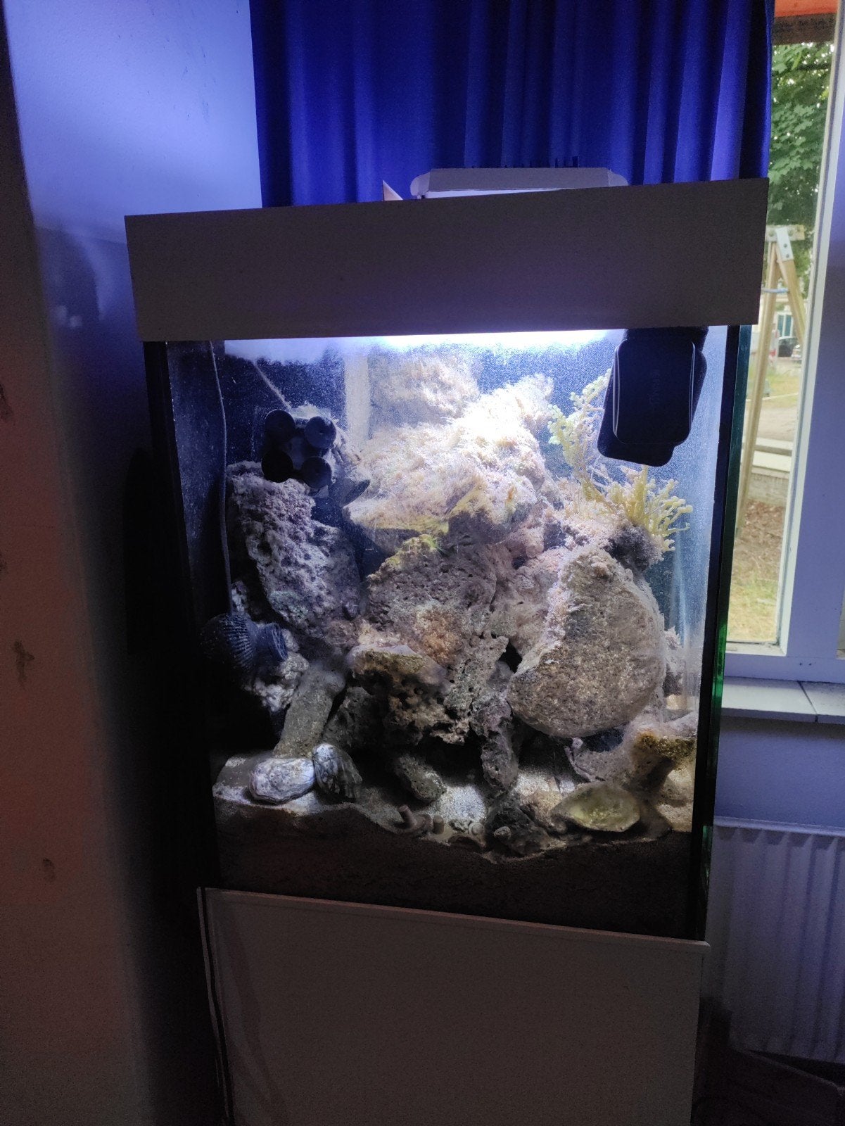 zoutwater aquarium met filterpomp systeem + licht bar, Ophalen, Gebruikt