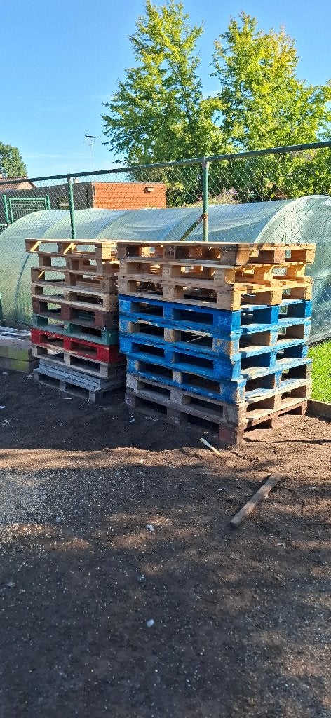 stevige blok palletten 100 op 120 cm, Ophalen, Gebruikt, 50 mm of meer, Pallet