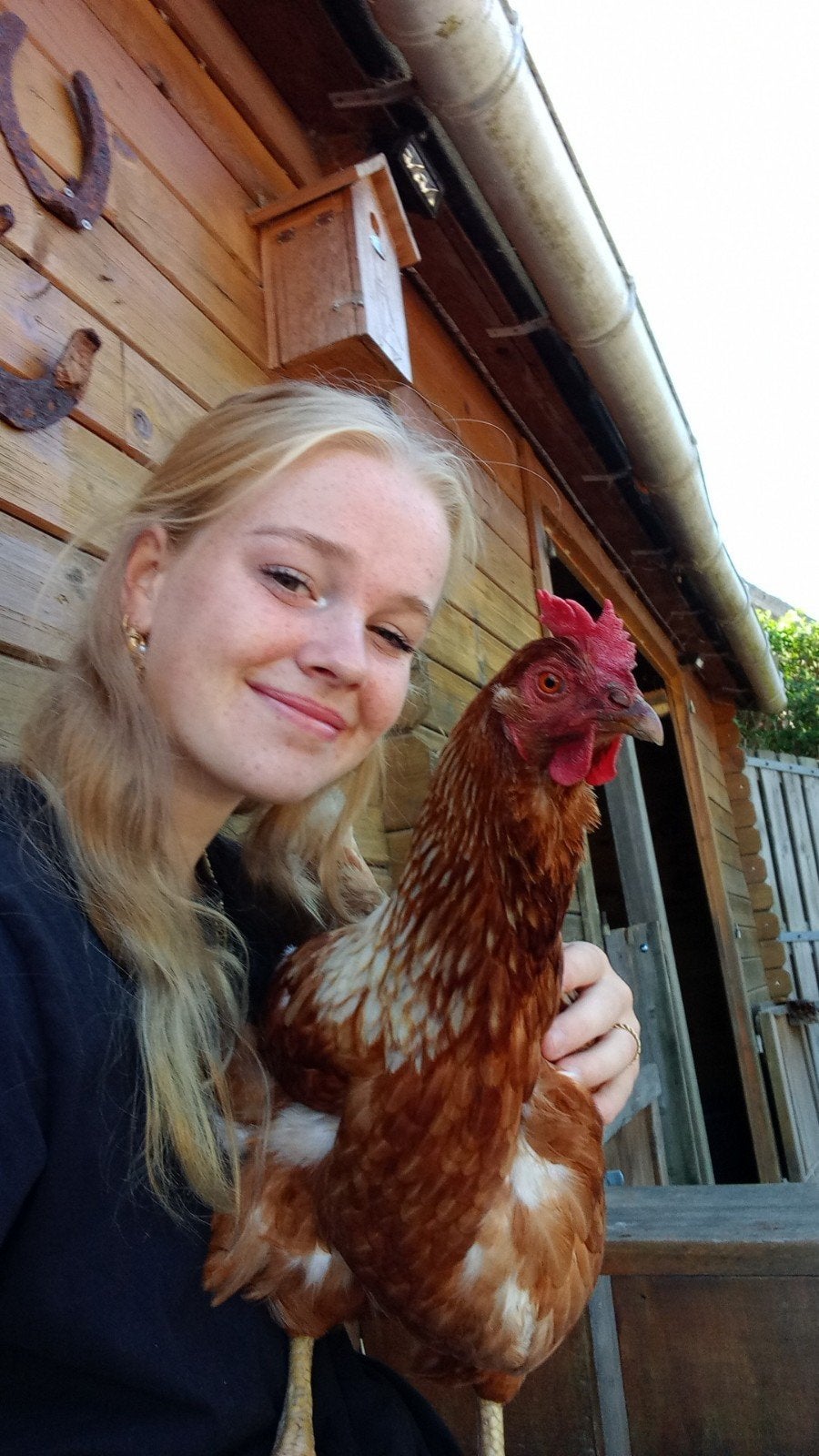 Enthousiaste oppas aangeboden!️☀️, Ophalen of Verzenden
