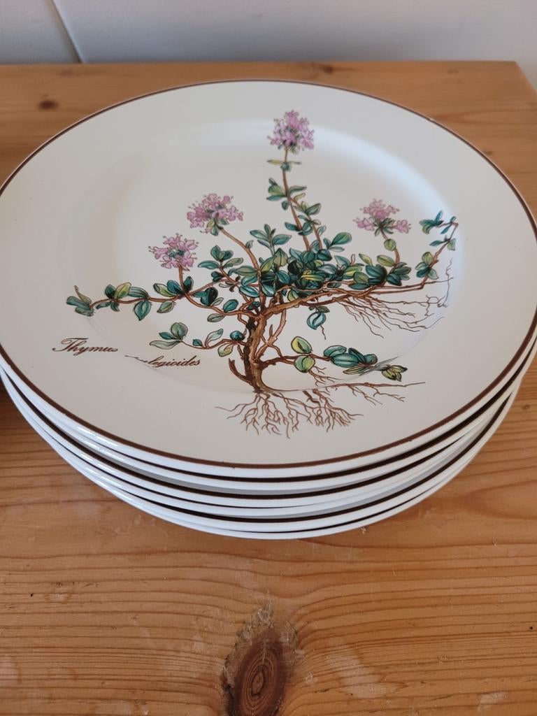7 ontbijt dessert borden Botanica Villeroy & Boch servies, Ophalen of Verzenden, Zo goed als nieuw, Bord(en), Overige stijlen