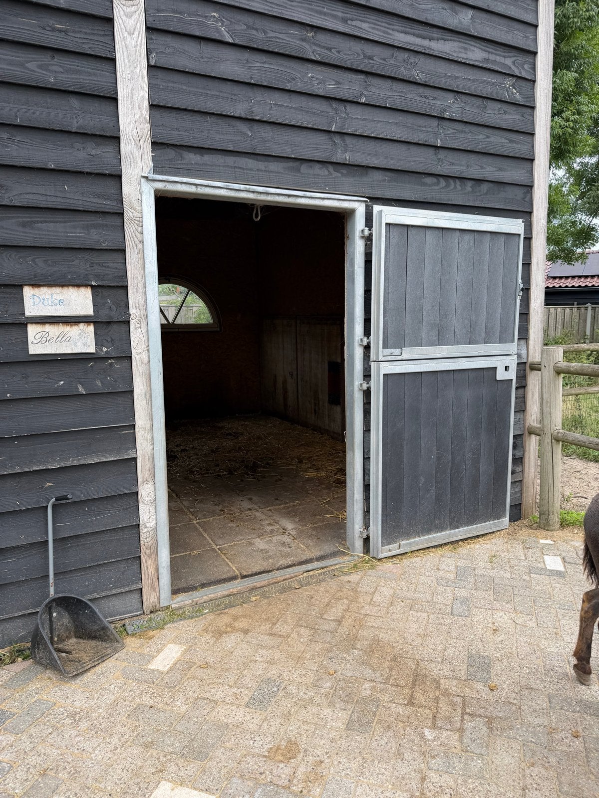 2stuks dtaldeuren incl kozijn te koop 300,- per stuk, Dieren en Toebehoren, Ophalen of Verzenden