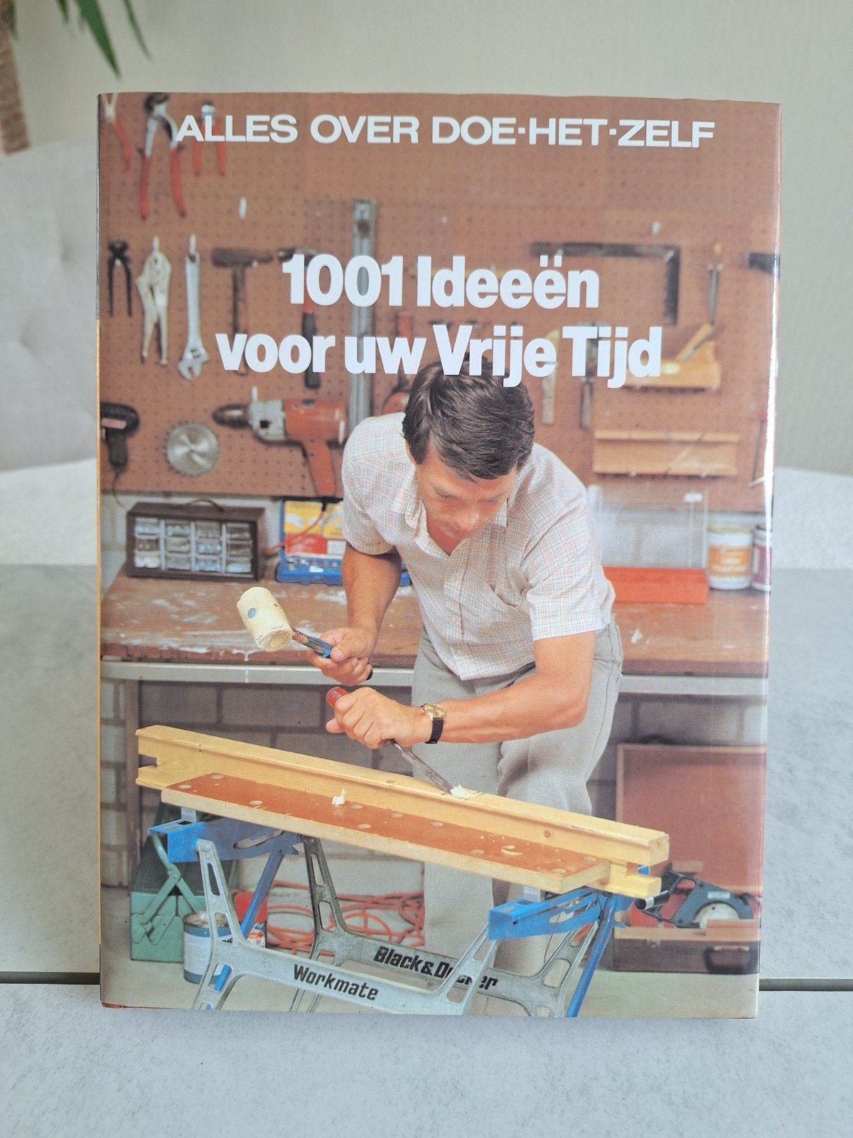 ALLES  OVER   DOE - HET - ZELF  // 1001 Ideeën, Ophalen of Verzenden, Nieuw, Overige onderwerpen