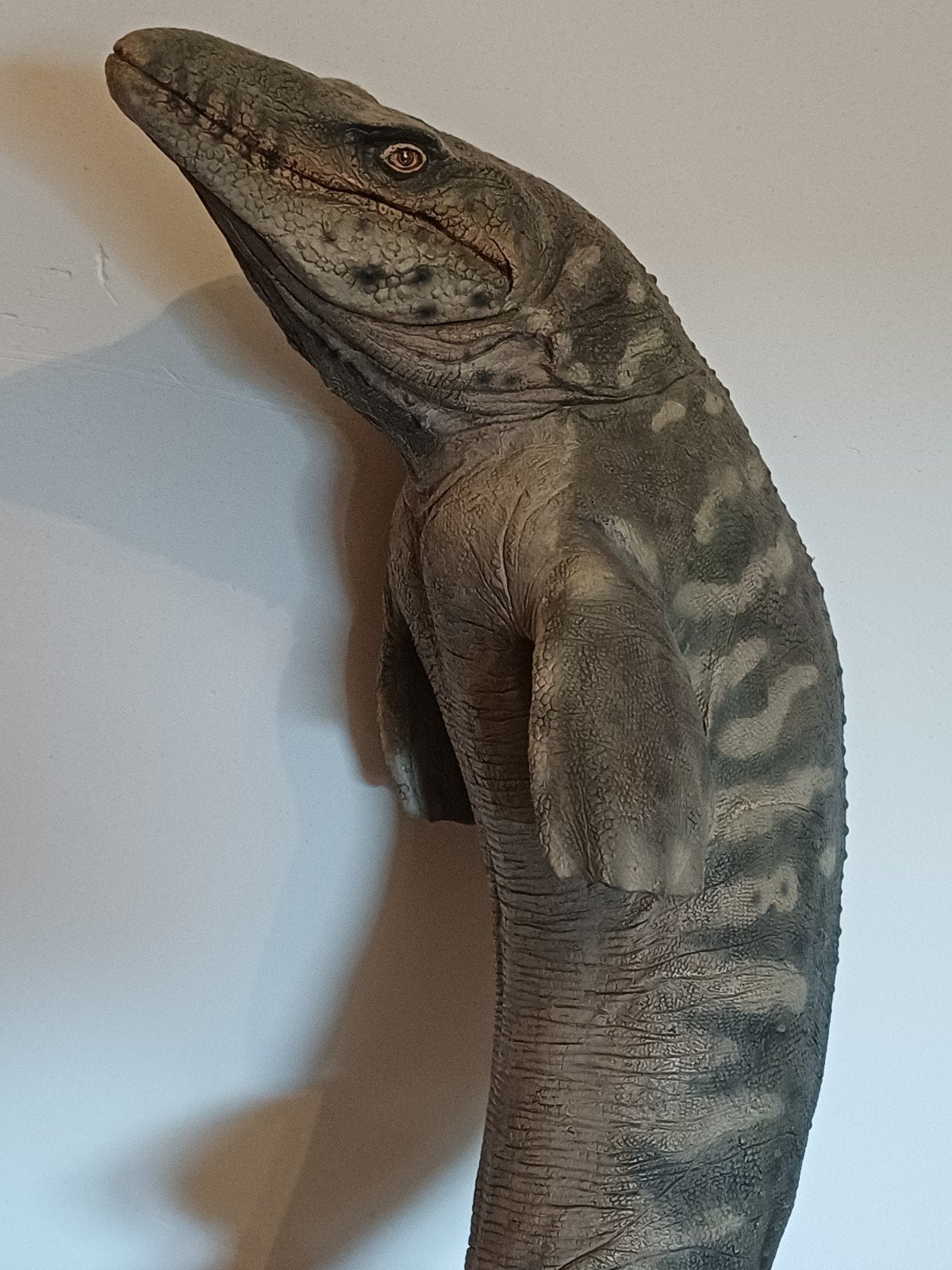 Sideshow Dinosauria Mosasaurus Jurassic World, Verzamelen, Ophalen of Verzenden, Zo goed als nieuw, Overige typen