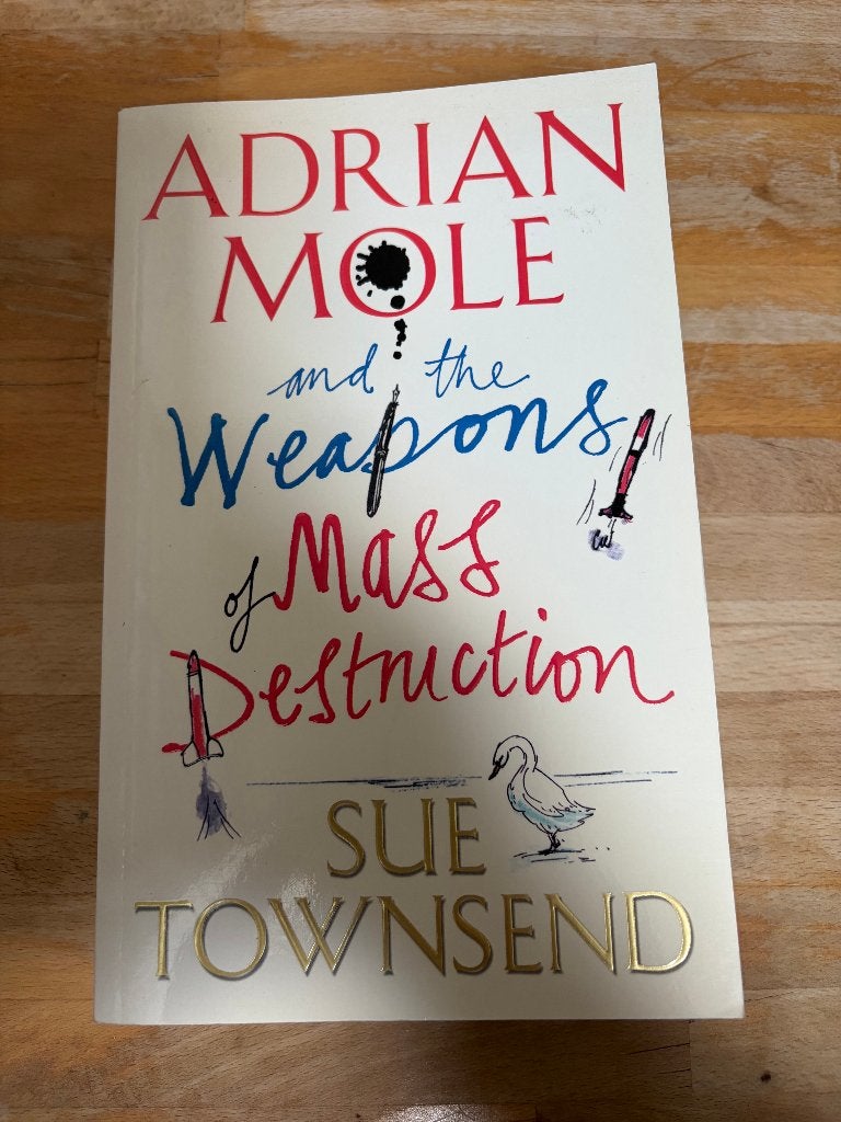 adrian mole engels, Ophalen of Verzenden, Zo goed als nieuw