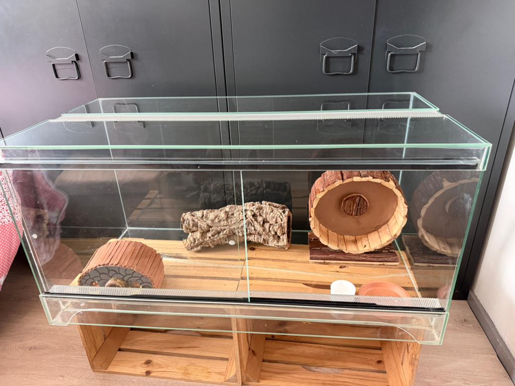 Hamsterkooi met toebehoren, Kooi, Gebruikt, Muis, 75 tot 110 cm