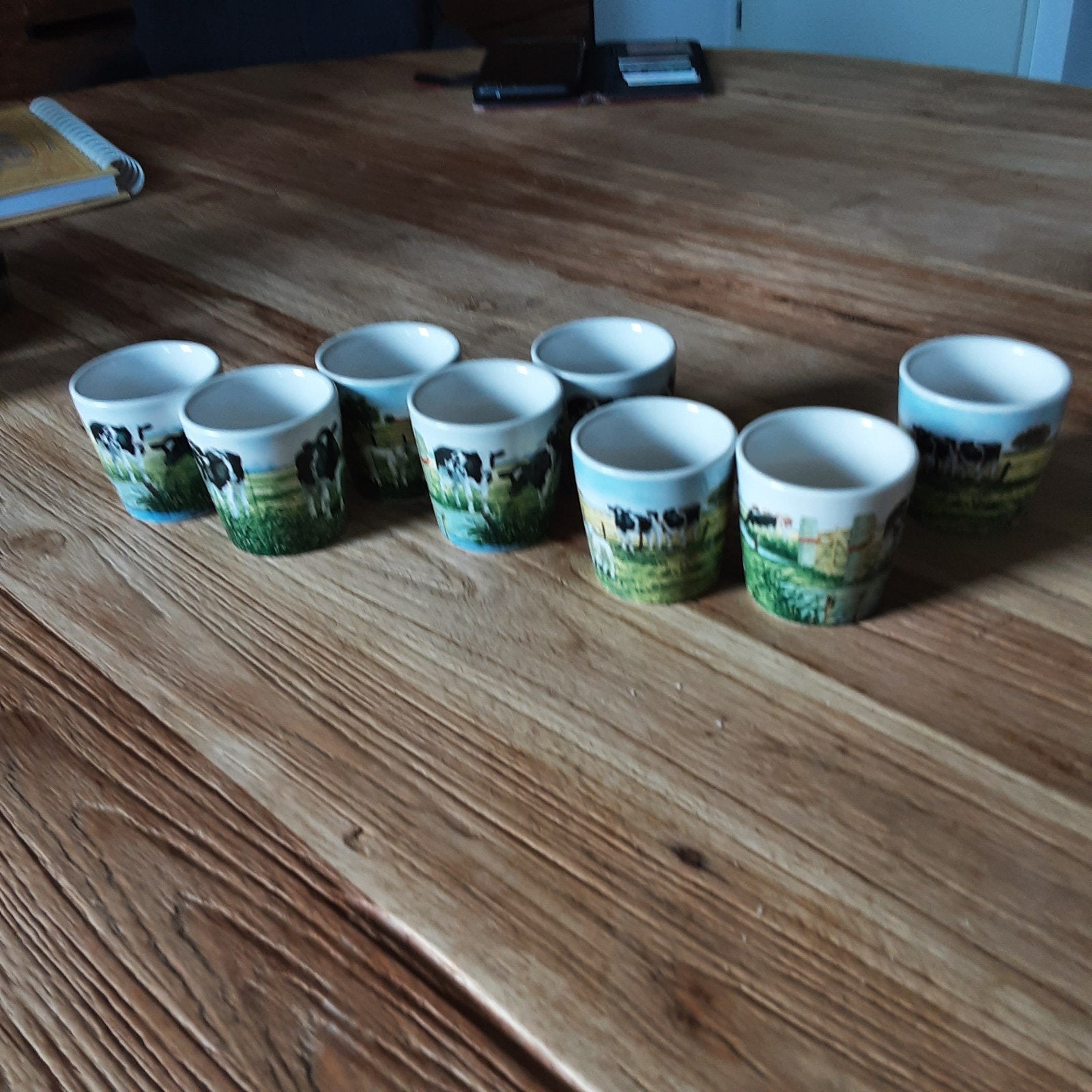 wiebe van der zee, eierdopjes, Overige typen, Ophalen of Verzenden, Zo goed als nieuw, Overige stijlen