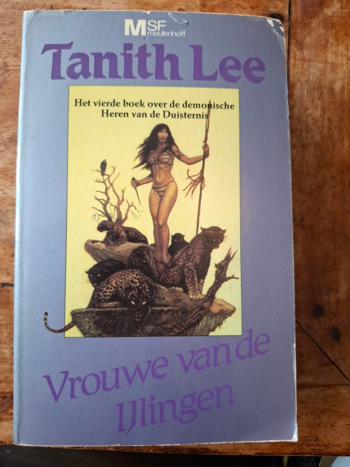 Tanith Lee - Vrouwe van de IJlingen (MSF Meulenhoff), Boeken, Fantasy, Ophalen of Verzenden, Gelezen, Tanith Lee