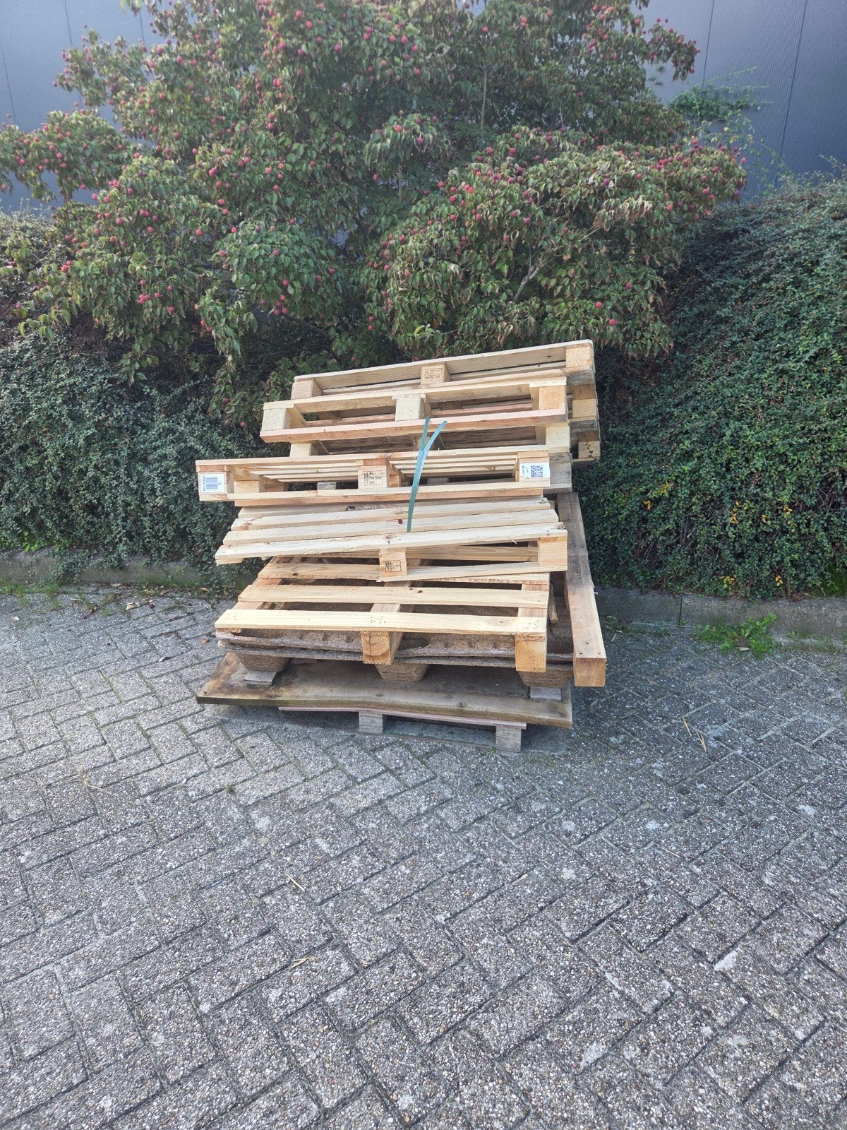 gratis pallets, Ophalen, Minder dan 25 mm, Nieuw, Plank