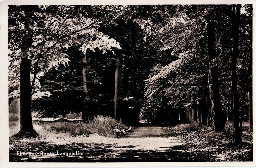 Ellecom – Begin Langejuffer. Gelopen Raamsdonkveer1960(?), Verzamelen, Ansichtkaarten | Nederland, Ophalen of Verzenden, 1940 tot 1960