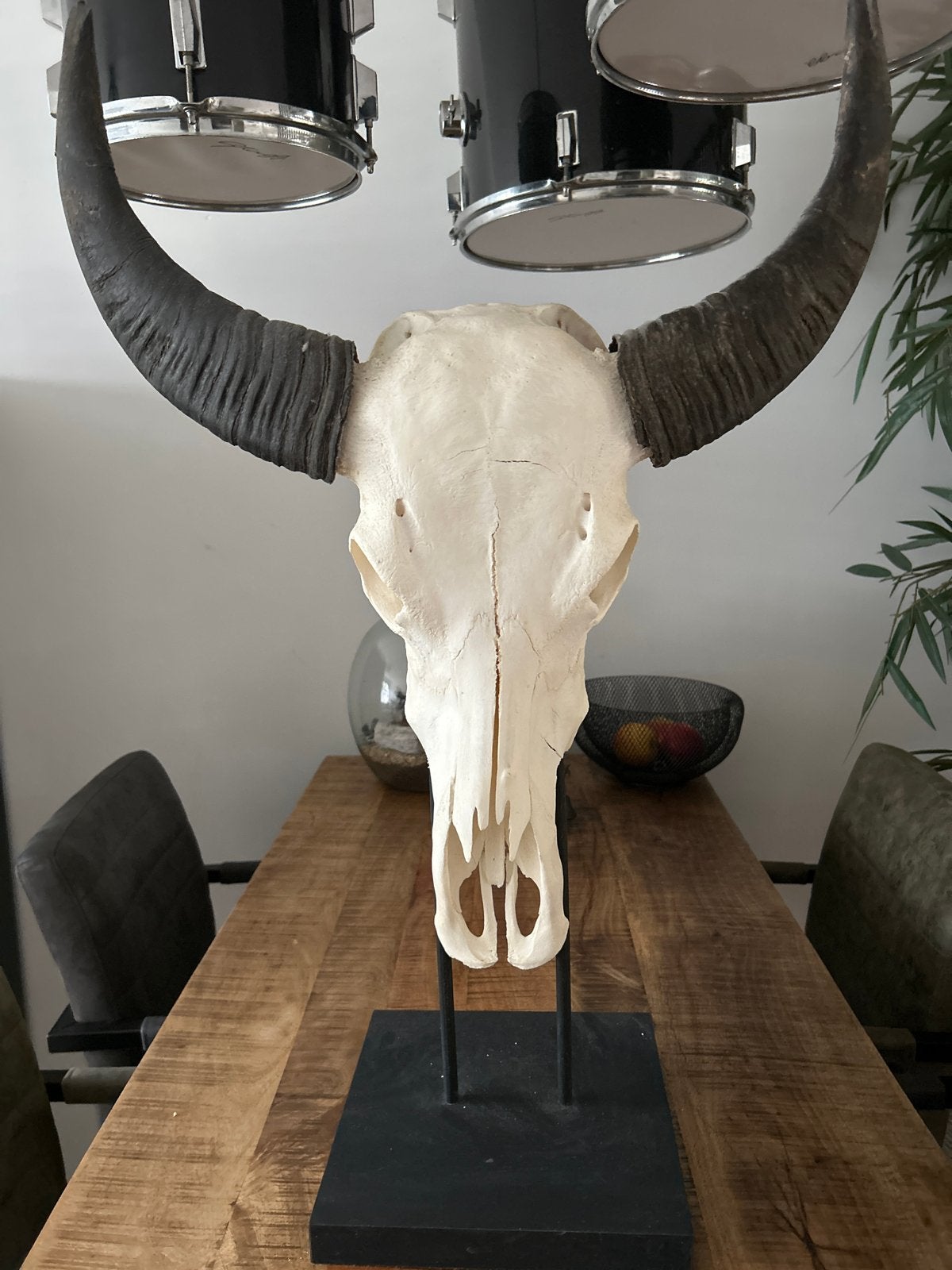 Decoratieve buffelschedel op standaard, Vintage, Ophalen of Verzenden, Zo goed als nieuw, Natuurlijk materiaal