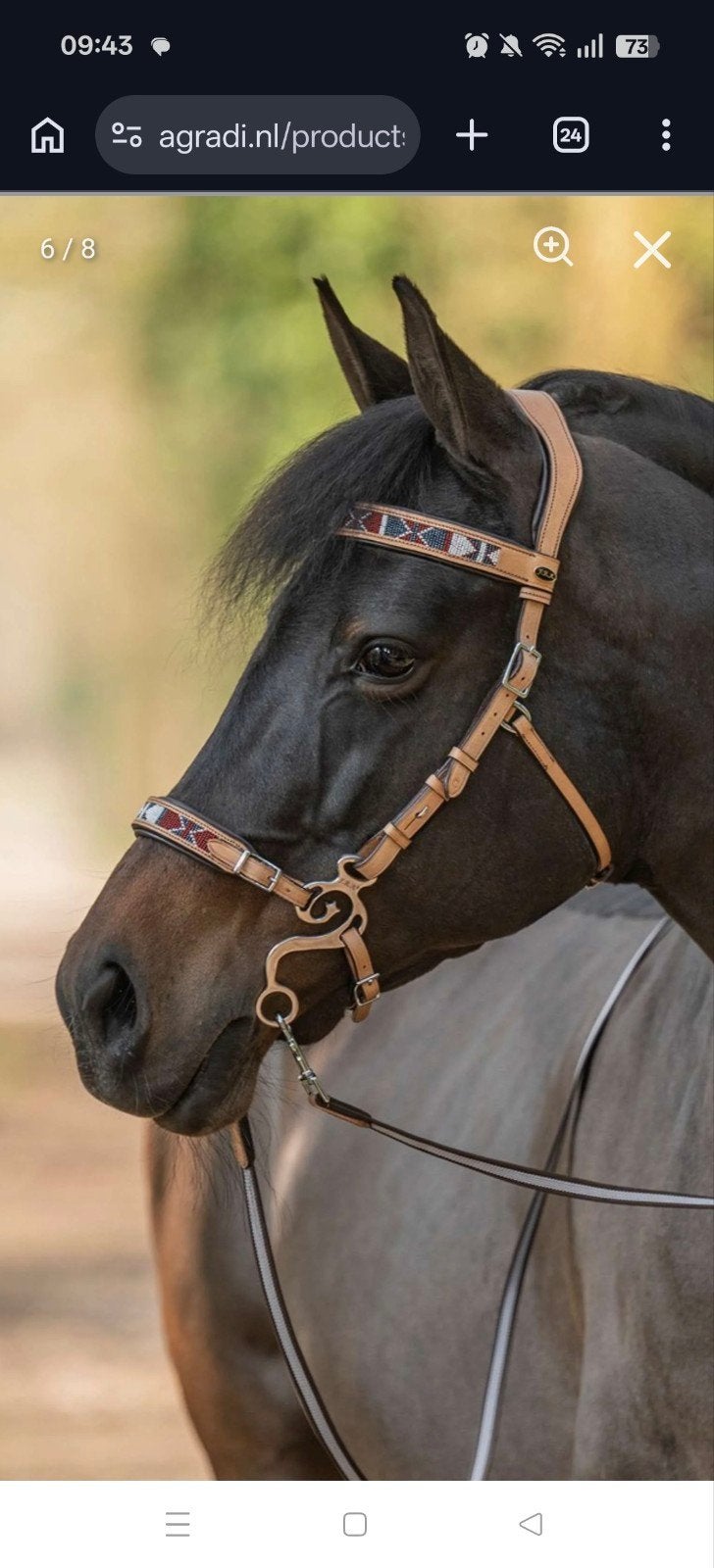 F.R.A. hoofdstel Esprit hackamore, Dieren en Toebehoren, Hoofdstel, Ophalen of Verzenden, Cob, F.R.A.